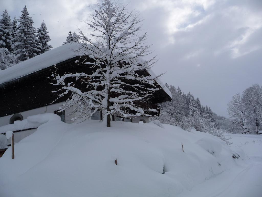 Ferienwohnung Hans Ebner Eben Im Pongau Room photo